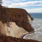 Meer-Wald, zum Meer ziehend