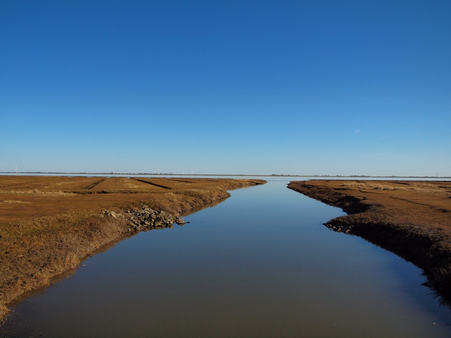 "Meer Wasser als Land. .