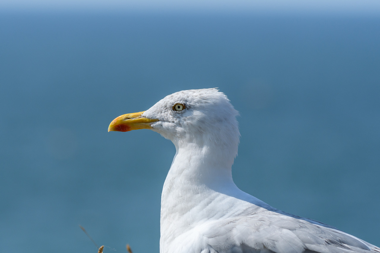 Meerblick