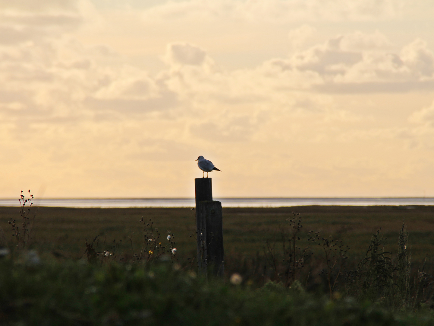 Meerblick