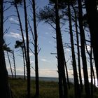 Meerblick am Darß