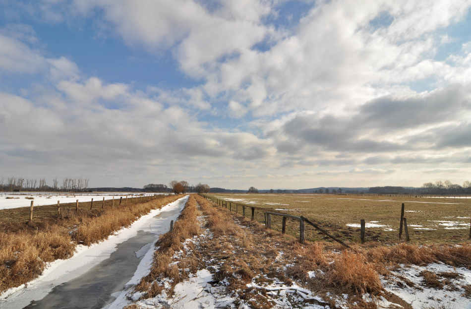 Meerbruchwiesen im Winter