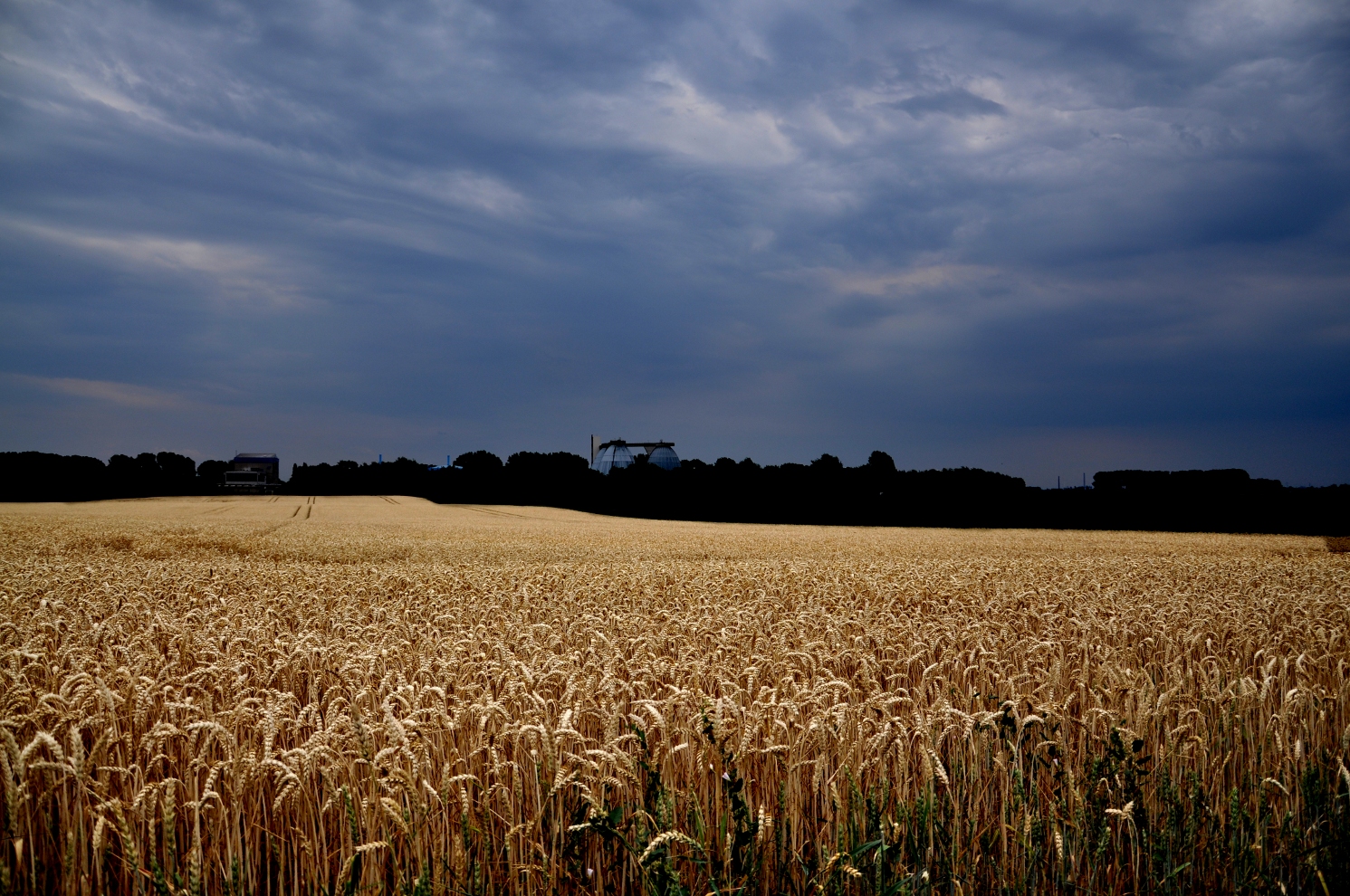 Meerbusch - Klärgrube Düsseldorf Nord