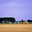 Meerbusch - Landwirtschaft I