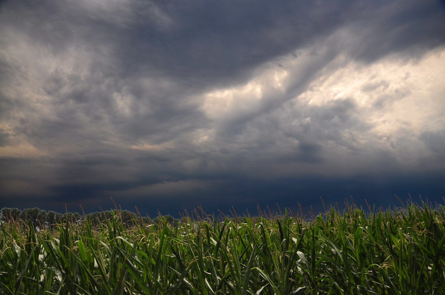 Meerbusch - Unwetter