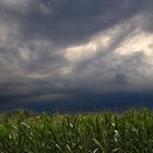 Meerbusch - Unwetter