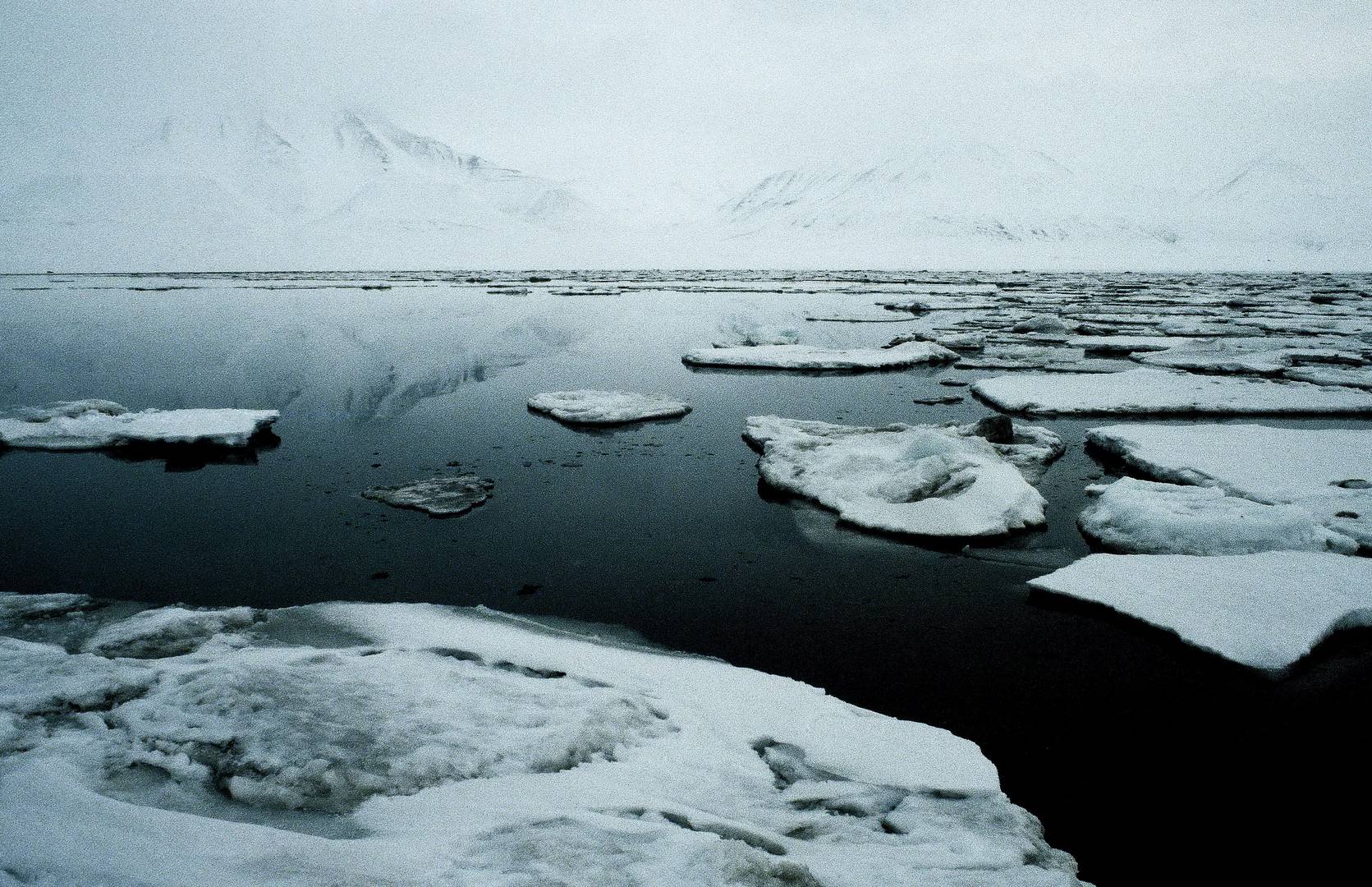 Meereis am Isfjorden