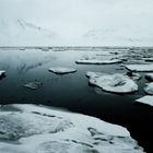 Meereis am Isfjorden