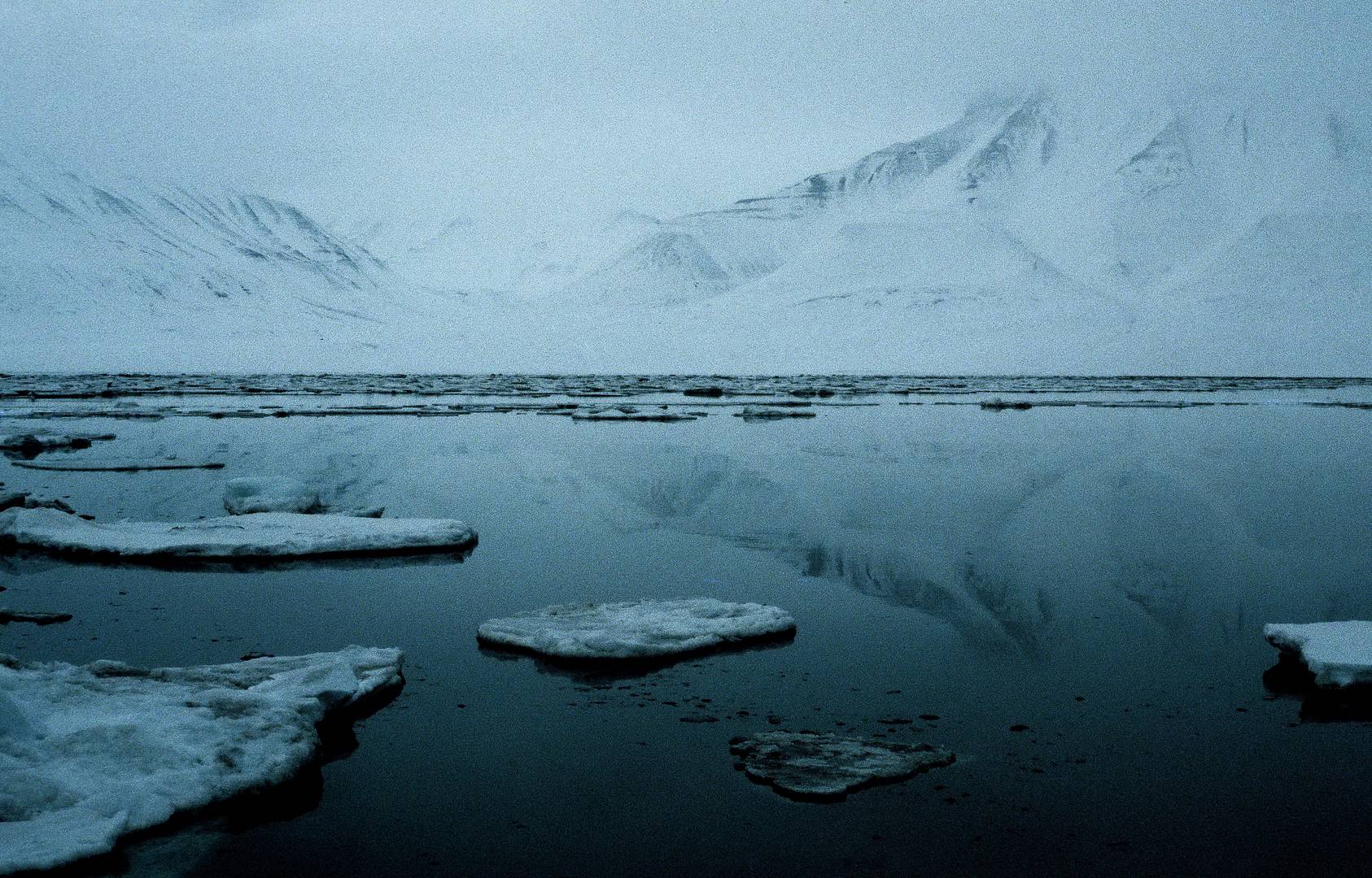 Meereis am Isfjorden II