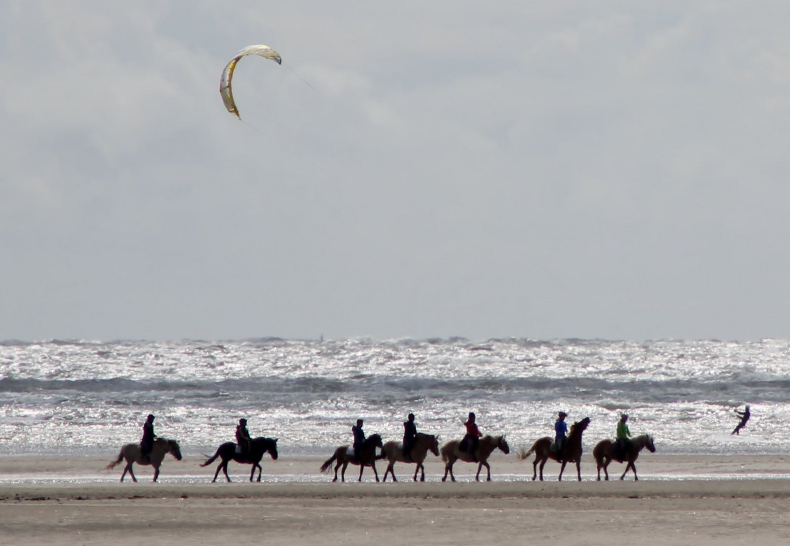 Meeres-Monster-Brandung an der Nordsee