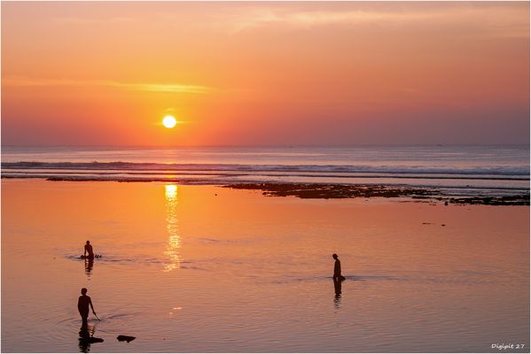 Meeresfrüchtesammler