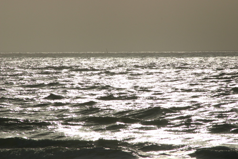 Meeresleuchten am Nordsee-Strand