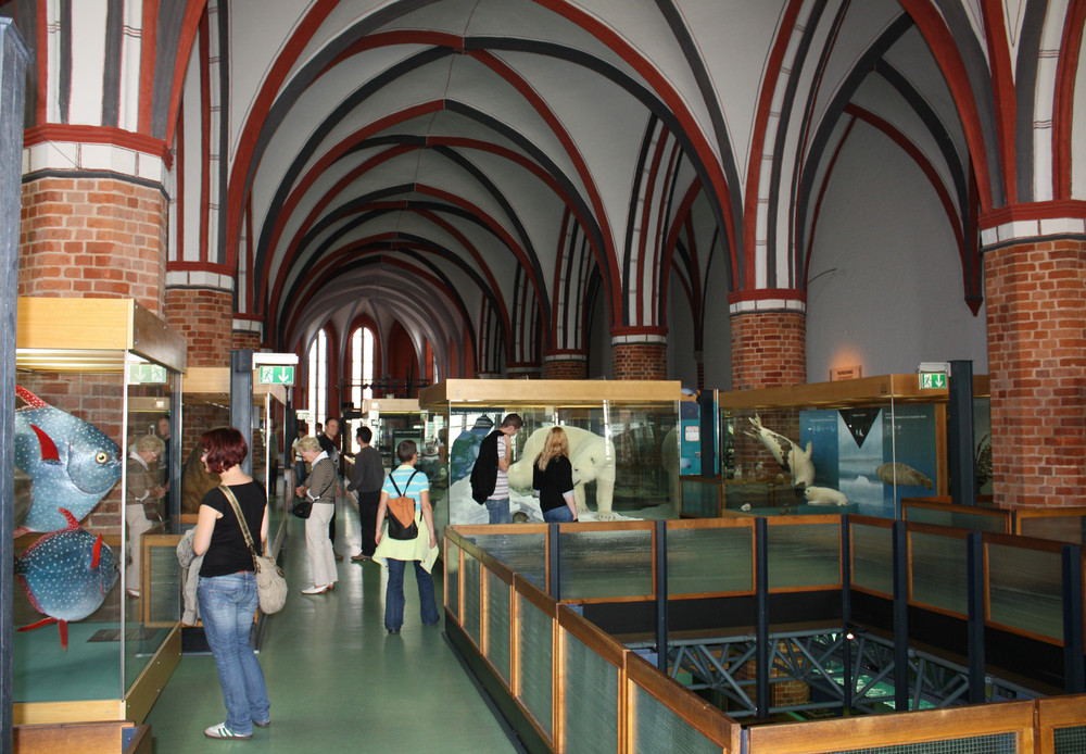 Meeresmuseum Stralsund