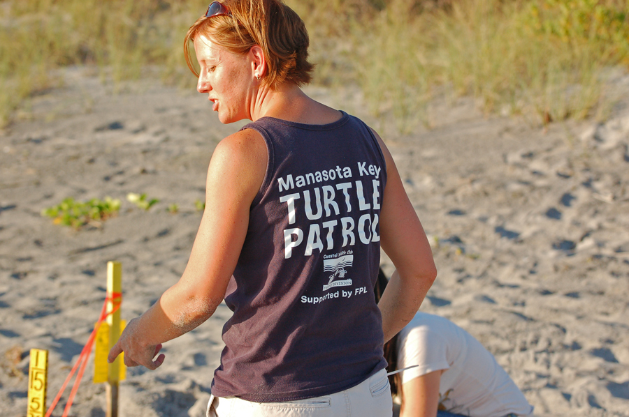 Meeresschildkröten - Sea Turtle Nesting Season (2)