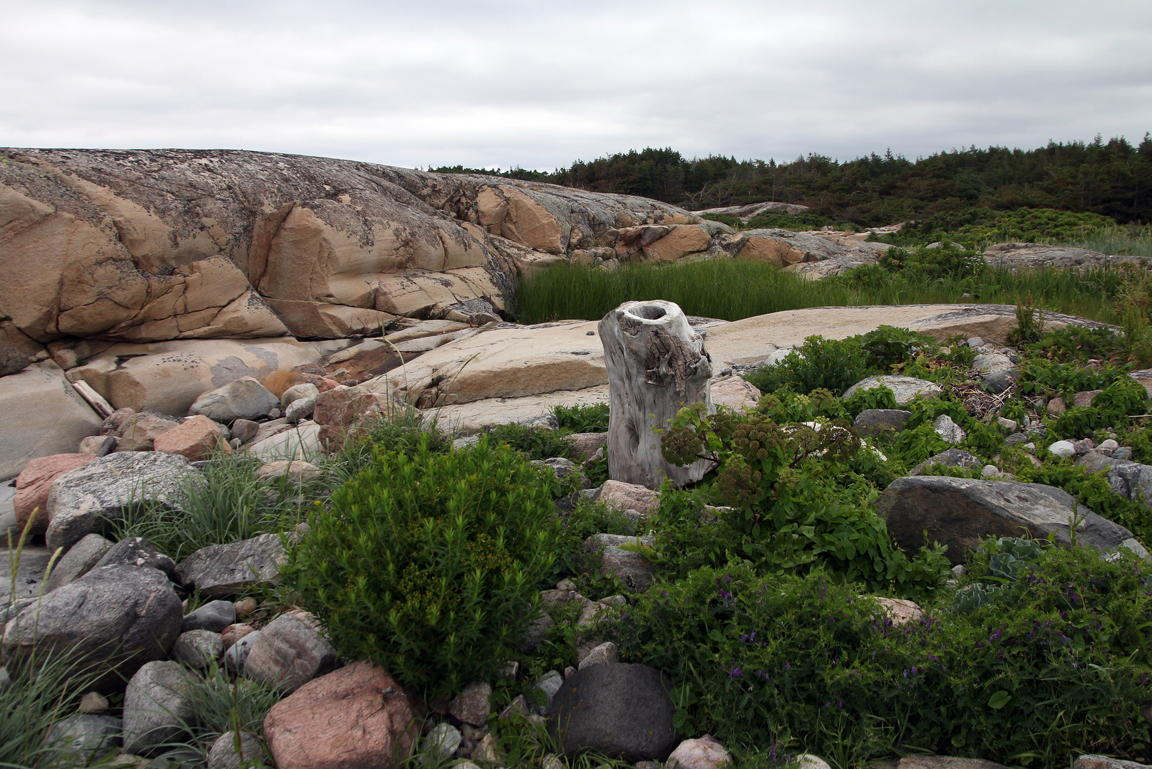 Meeresstrand