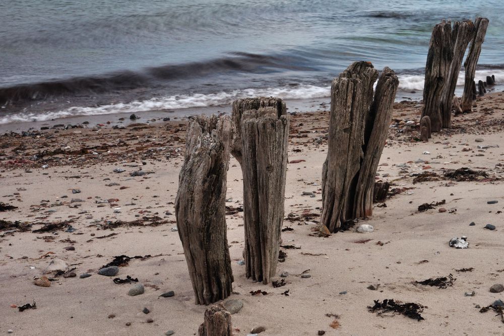 Meeresstrand