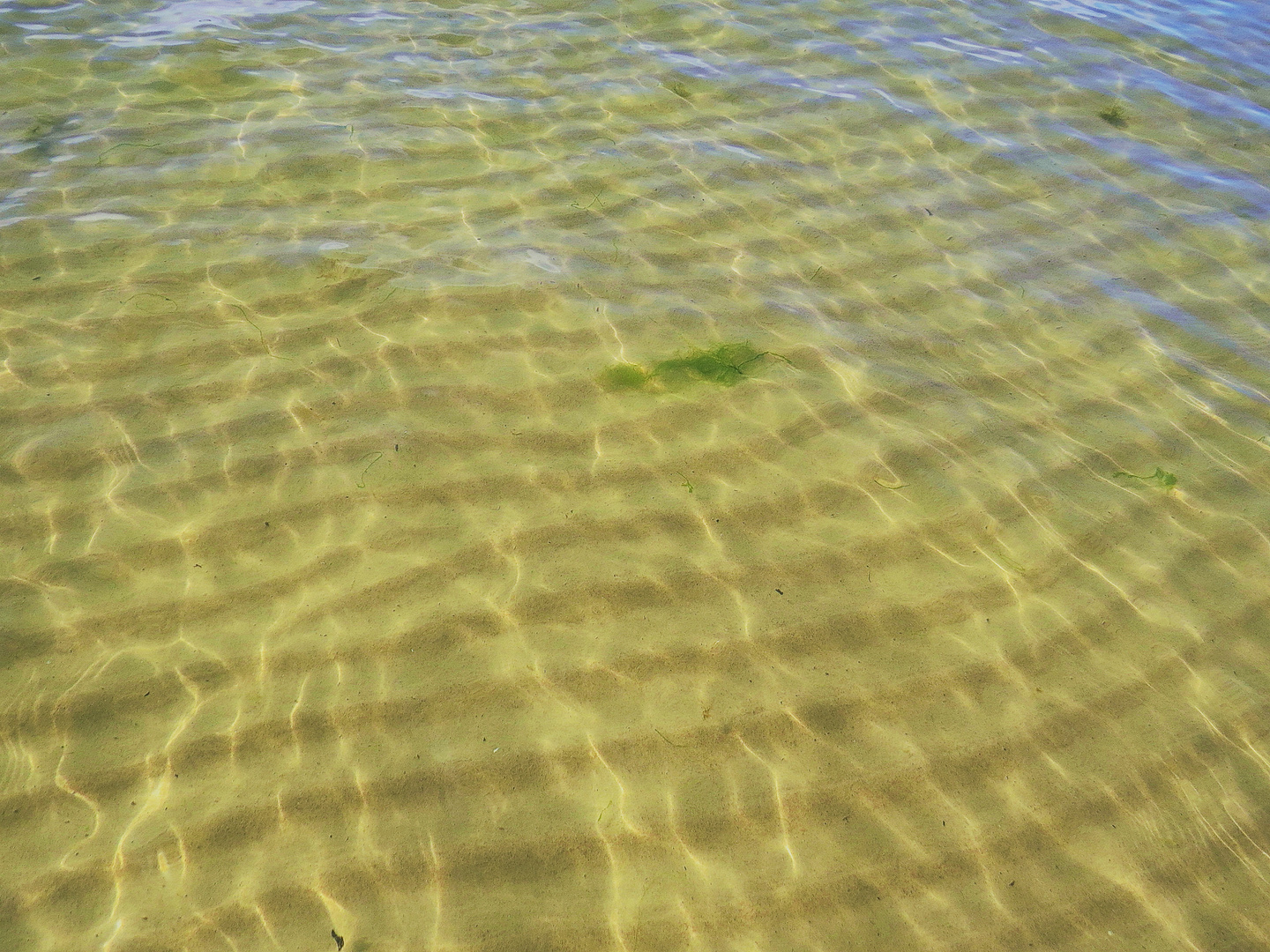 Meeresufer der Ostsee