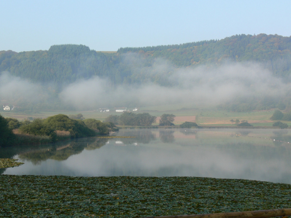 Meerfelder Maar am Morgen