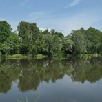 Meerpfuhl: Über das Wasser geguckt 01