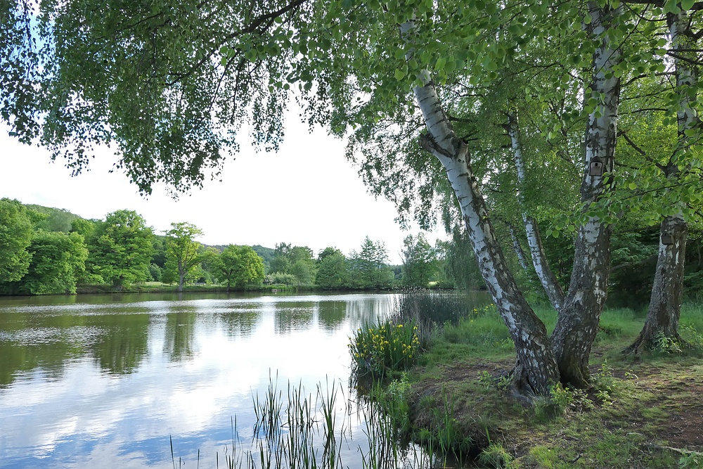 Meerpfuhl: Über das Wasser geguckt 02