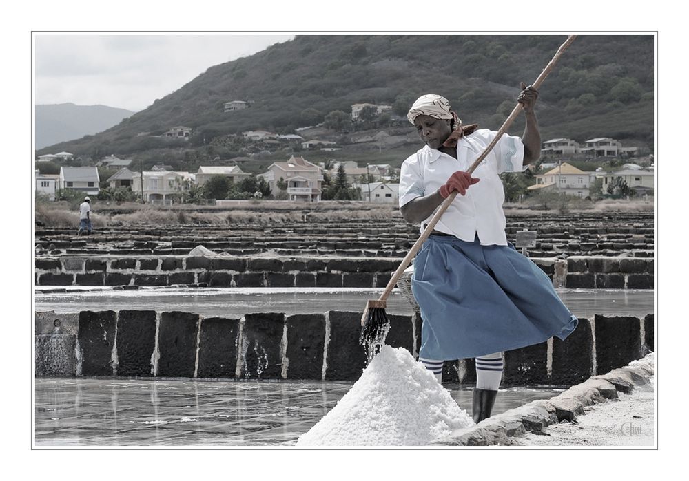 Meersalzgewinnung in Tamarin | Mauritius 2012