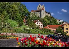 Meersburg 1