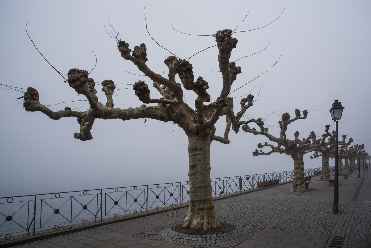 Meersburg 