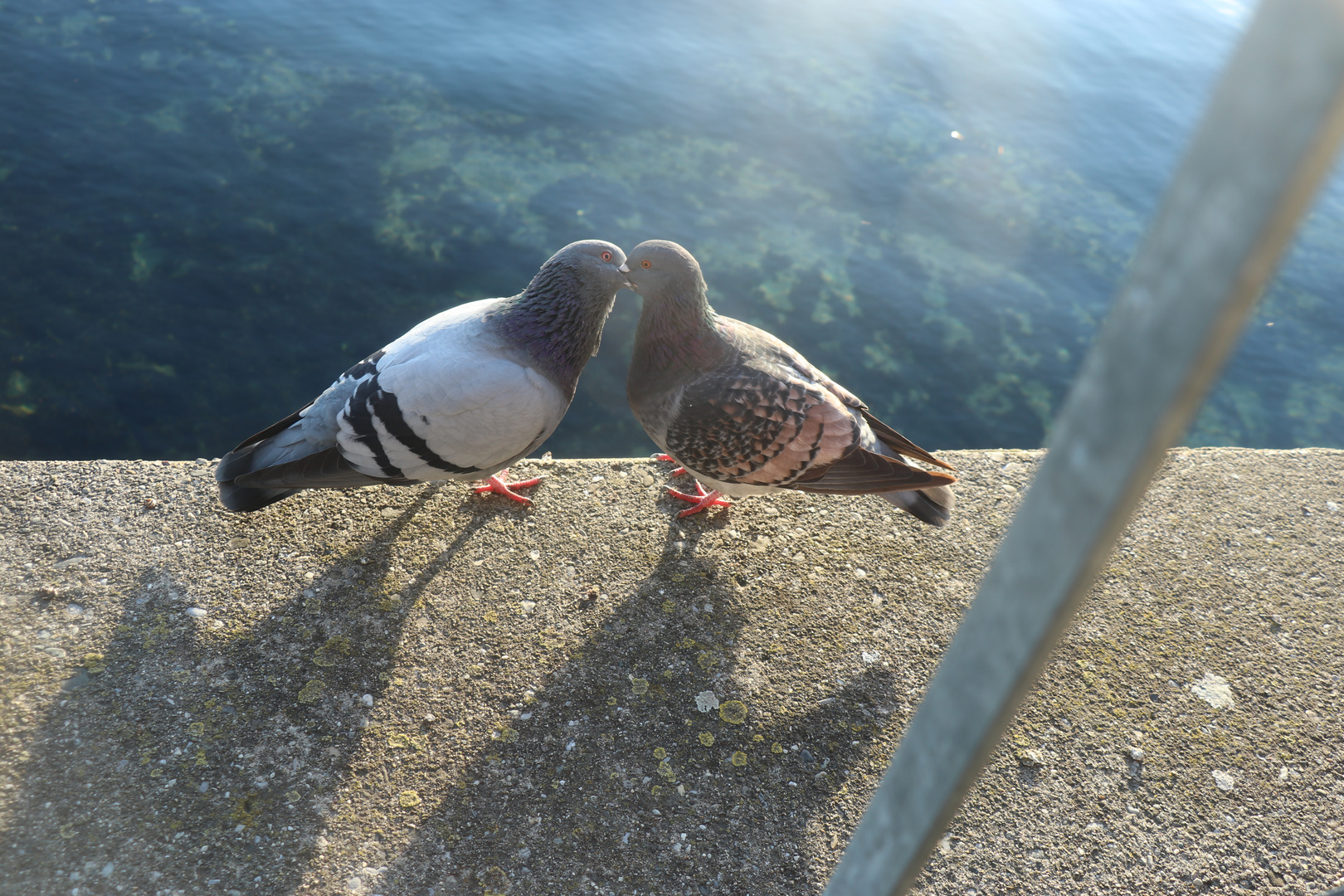 Meersburg, am 31,10,21_0907