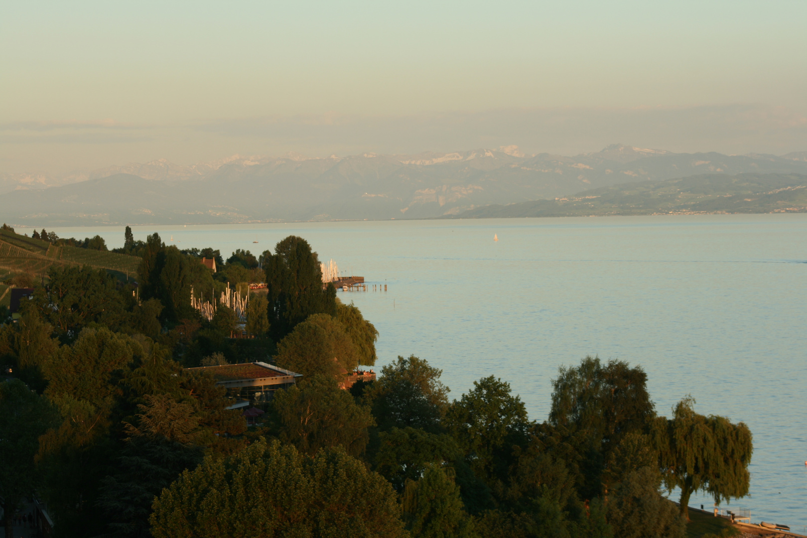 Meersburg Bodensee IMG_1411