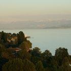 Meersburg Bodensee IMG_1411