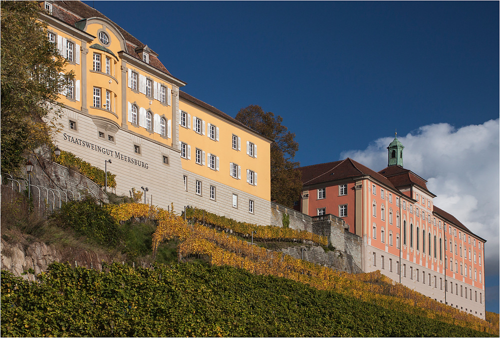 Meersburg III