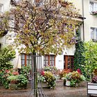 Meersburg im Herbst