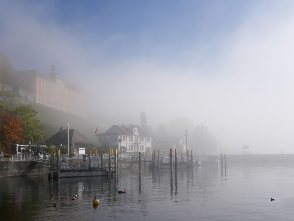 Meersburg im Nebel