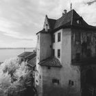 Meersburg in Infrarot