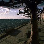 Meersburg, Promenade am Bodensee (1989-03)