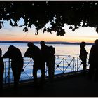 Meersburg sundown VII