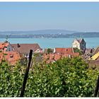 Meersburger Blick auf den Bodensee