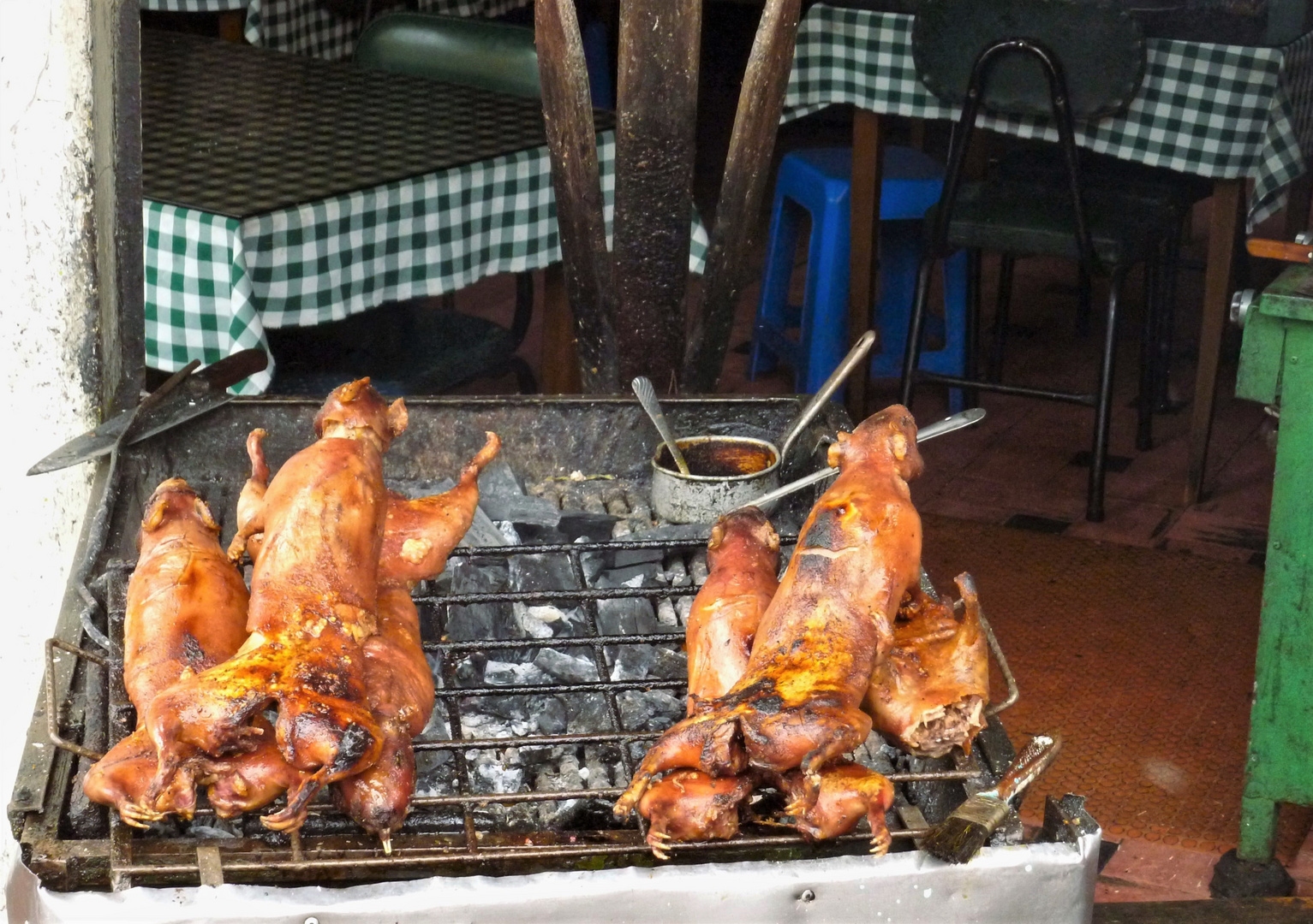 Meerschweinchen gegrillt 