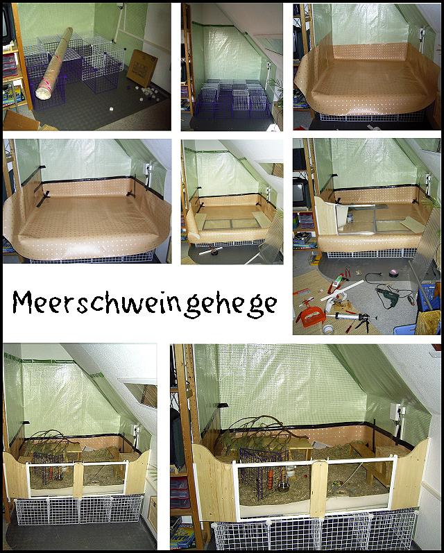 Meerschweinzuhause