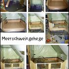 Meerschweinzuhause