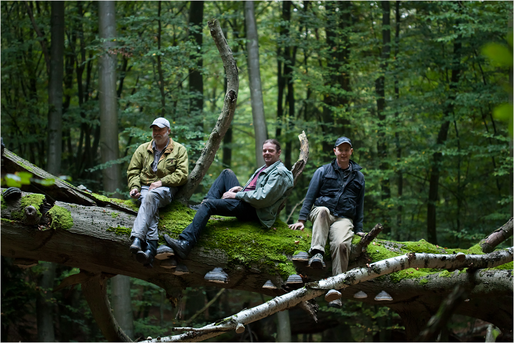 Meeting in Burkhard's Zauberwald