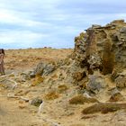 meeting in petrified forest