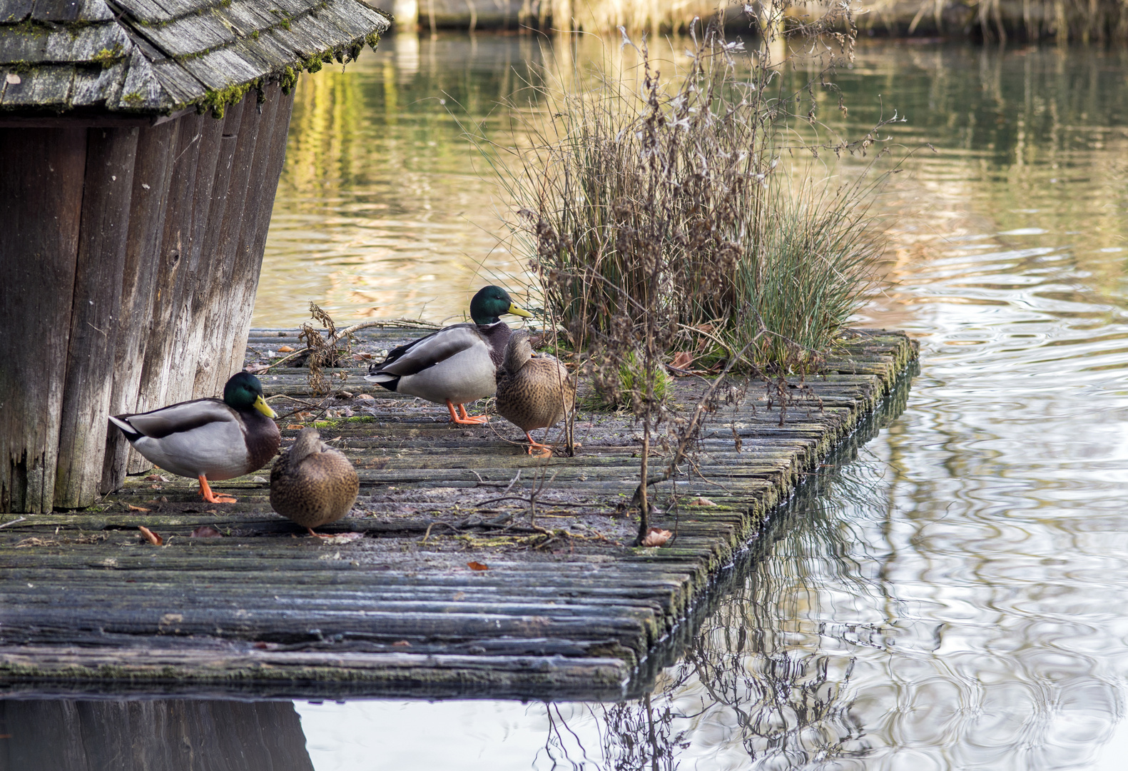 Meeting mit Gleichgesinnten