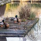 Meeting mit Gleichgesinnten