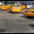 Meeting Of Yellow Cabs