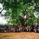 Meeting under l'arbre à palabres - Fouloum