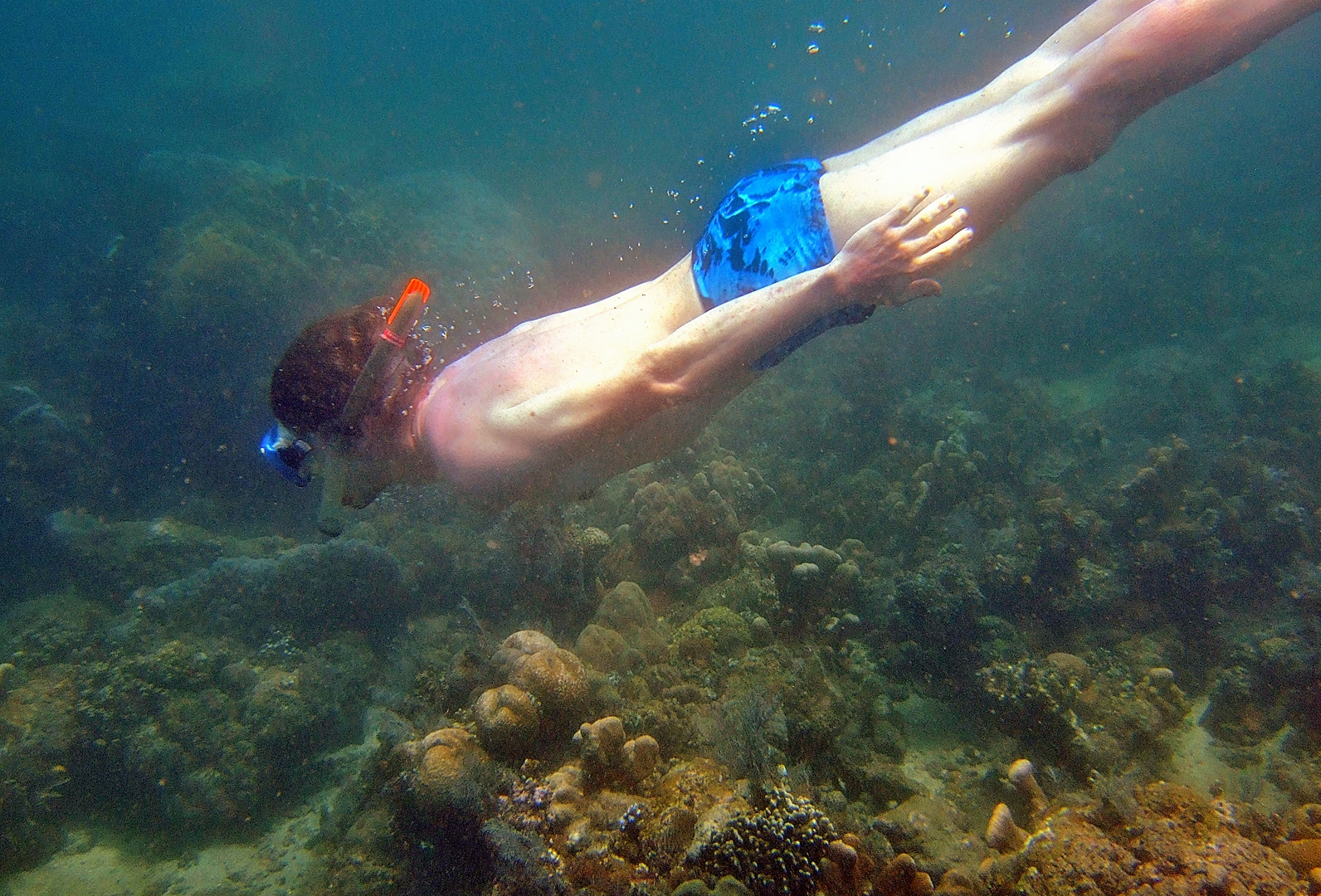 Meeting under water with a snorkeler