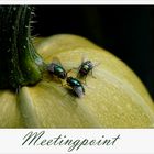 Meetingpoint