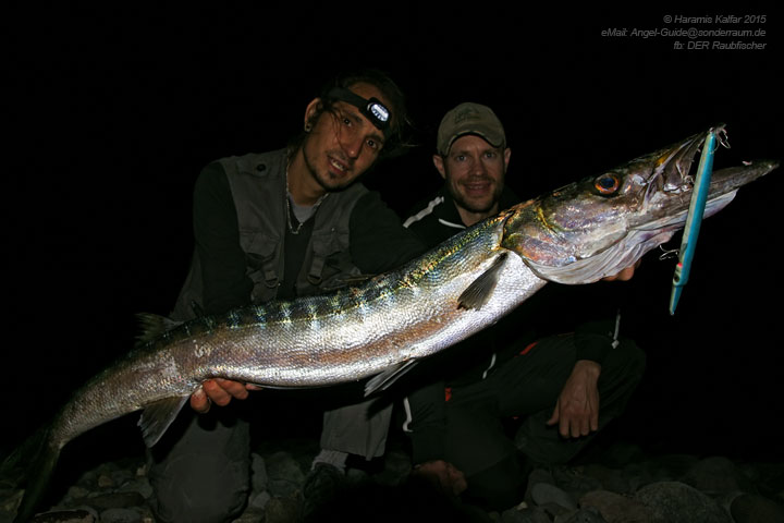 Mega-Inshore-Barracuda