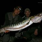 Mega-Inshore-Barracuda